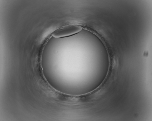 X0000112811261200908281459