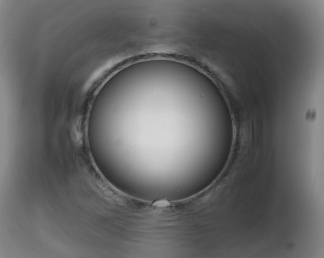 X0000112811262200908281459