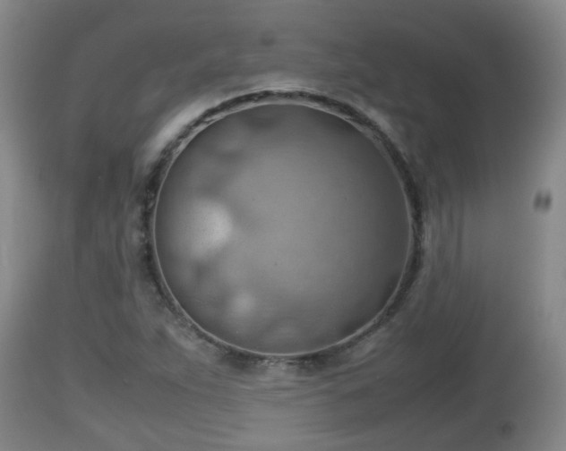 X0000112811263200908281459