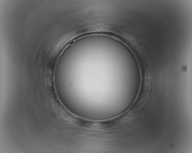 X0000112811265200908281459