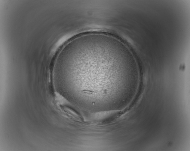 X0000112811267200908281458