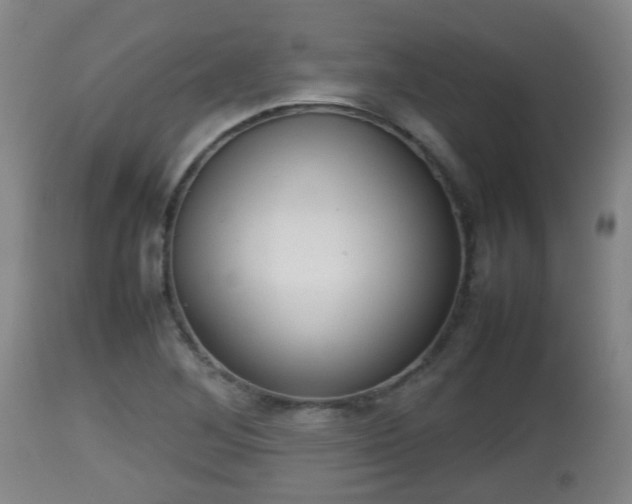 X0000112811268200908281458