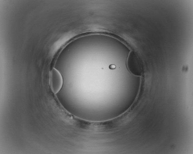 X0000112811269200908281458