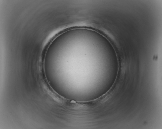 X0000112811270200908281458