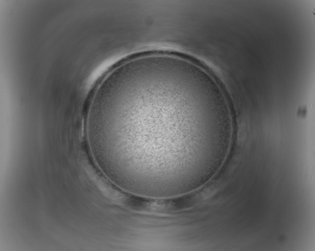 X0000112811271200908281458