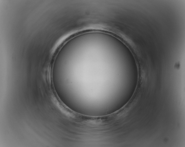 X0000112811272200908281458