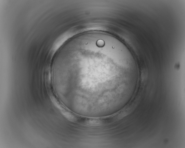 X0000112811274200908281458