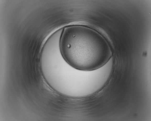 X0000112811276200908281458