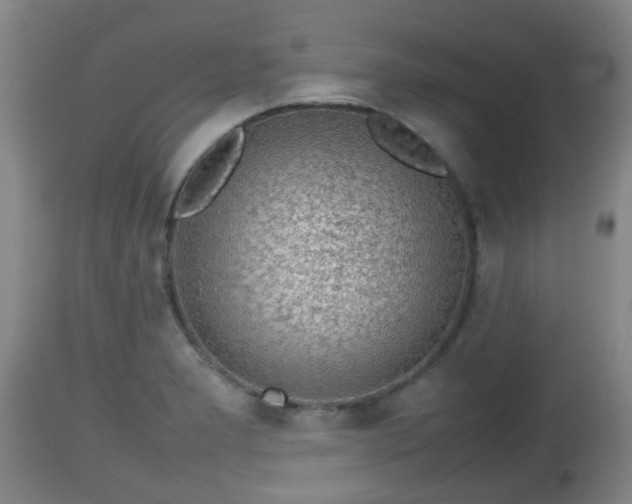 X0000112811277200908281458