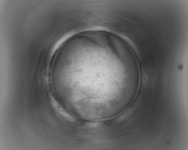 X0000112811278200908281458