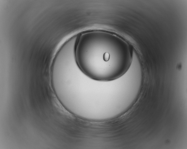 X0000112811280200908281458