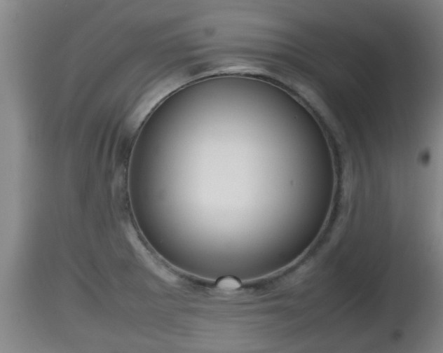 X0000112811281200908281458