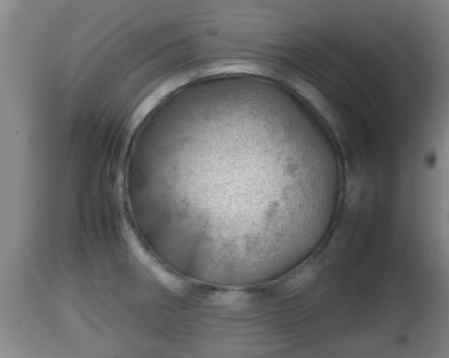 X0000112811282200908281458