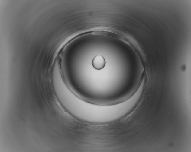 X0000112811284200908281458