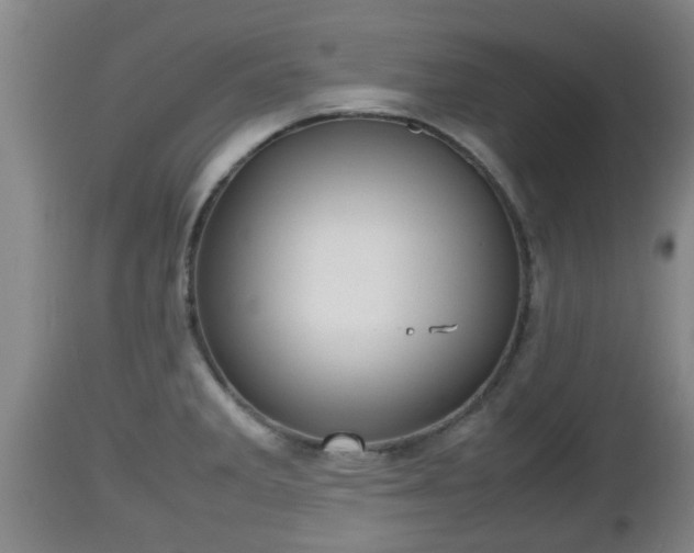 X0000112811285200908281458