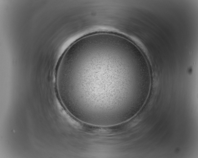X0000112811287200908281458