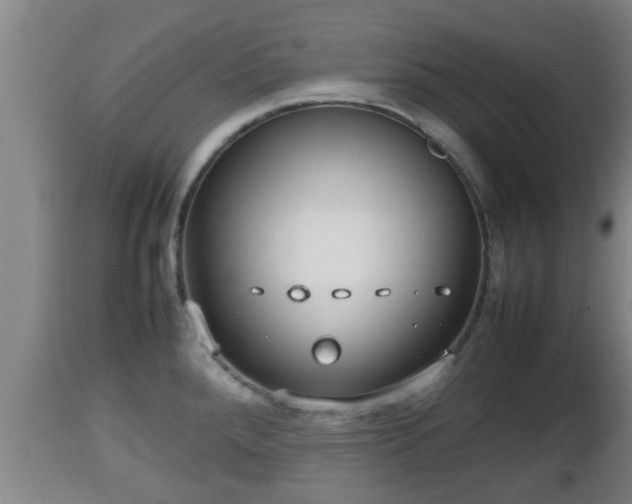 X0000112811288200908281458