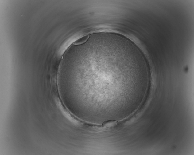 X0000112811289200908281458