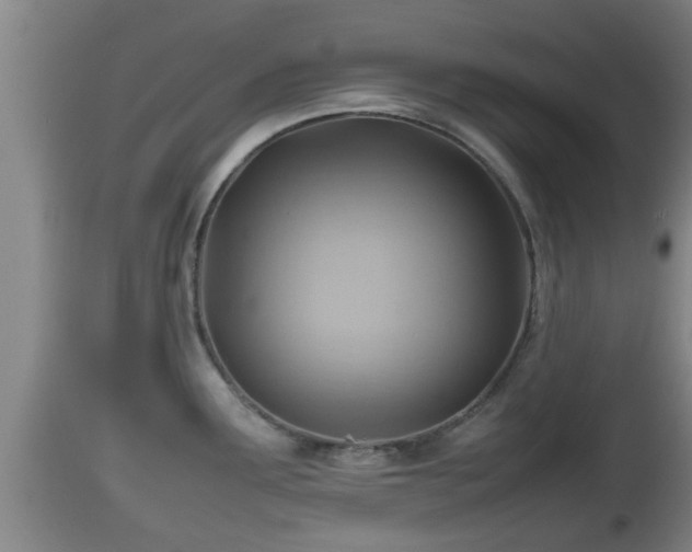 X0000112811291200908281458