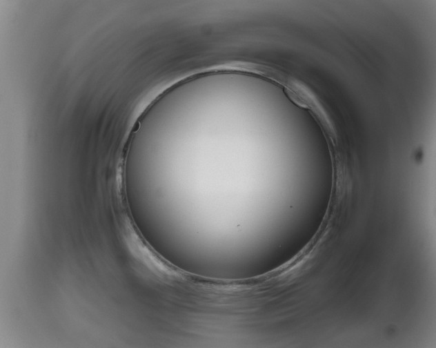 X0000112811292200908281458