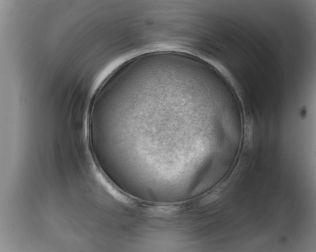 X0000112811294200908281458