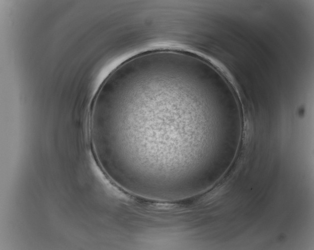 X0000112811295200908281458