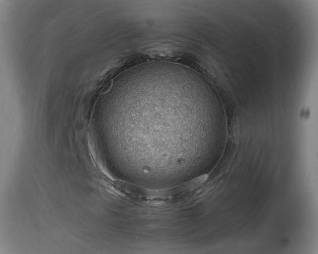 X0000112811297200908281457