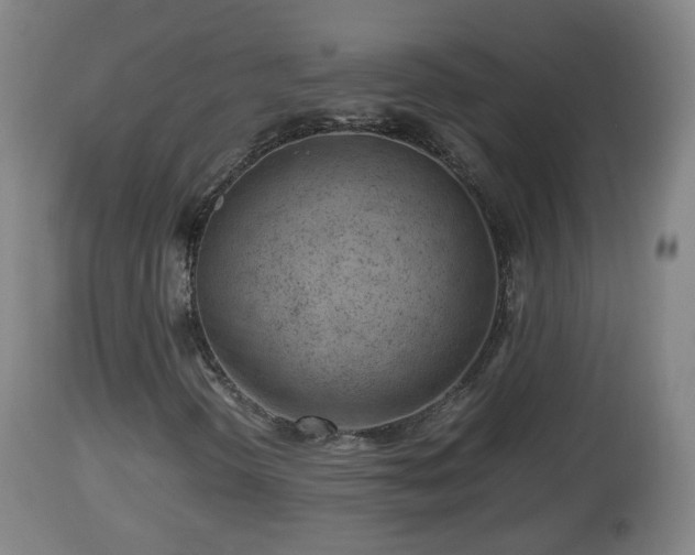 X0000112811298200908281457