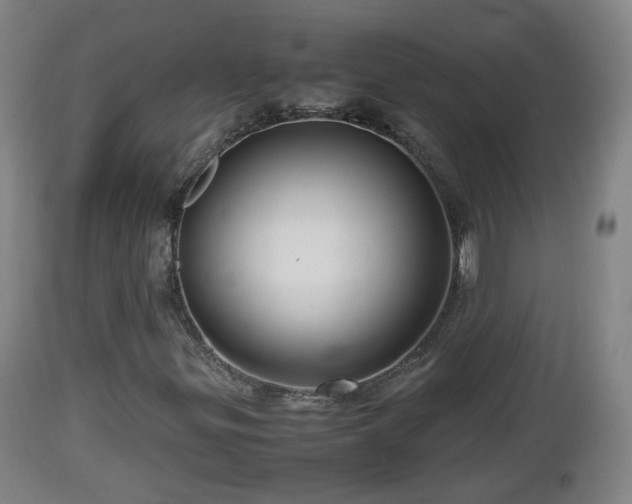 X0000112811299200908281457