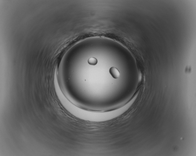 X0000112811300200908281457