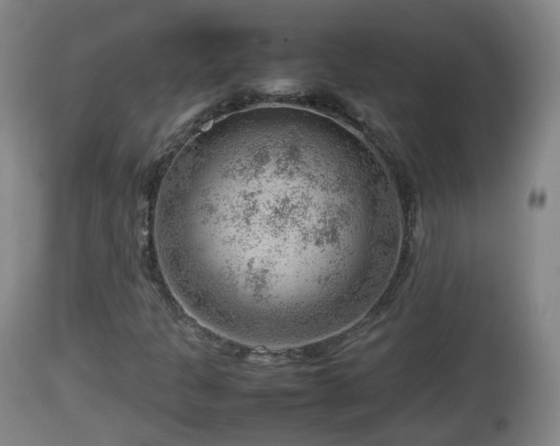 X0000112811301200908281457