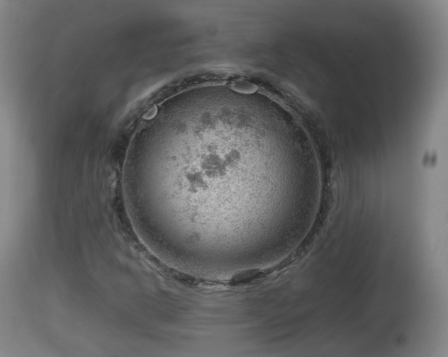 X0000112811302200908281457
