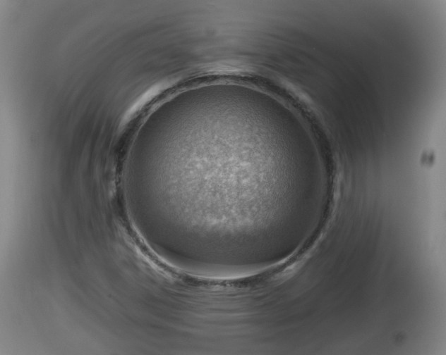 X0000112811306200908281457