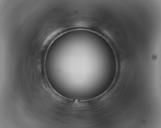 X0000112811307200908281457