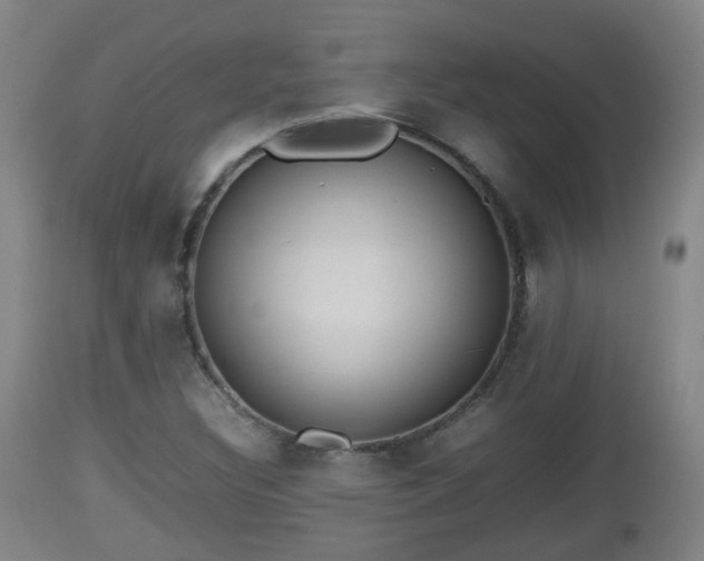 X0000112811308200908281457