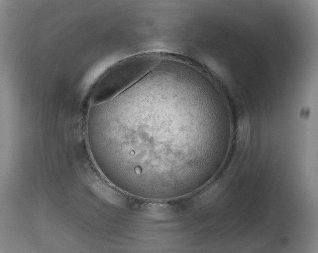 X0000112811310200908281457