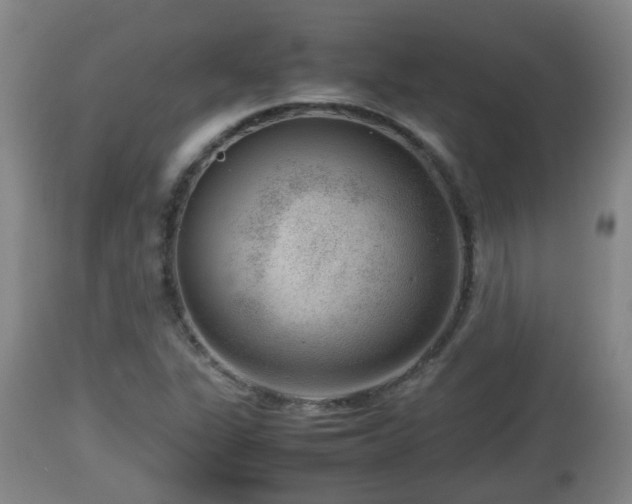 X0000112811311200908281457