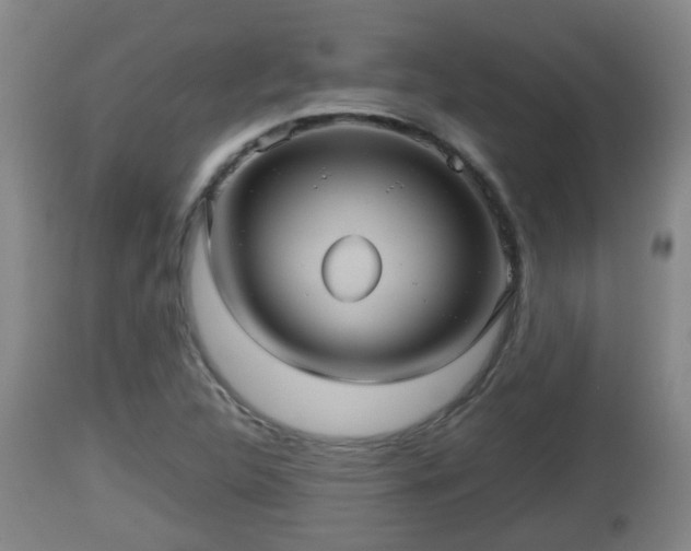 X0000112811312200908281457