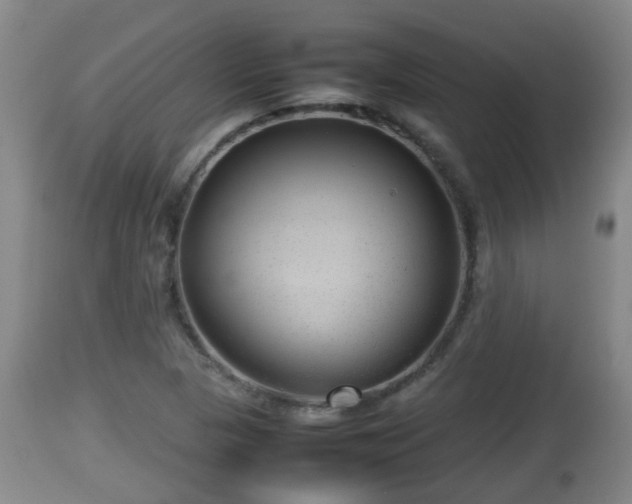 X0000112811313200908281457