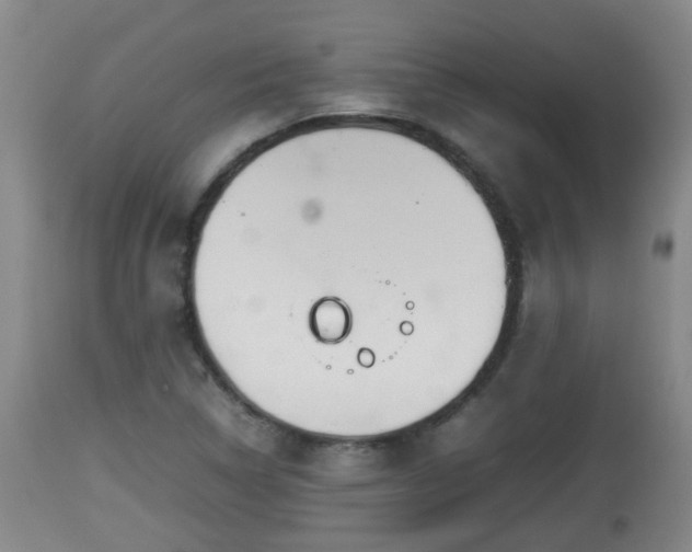 X0000112811314200908281457