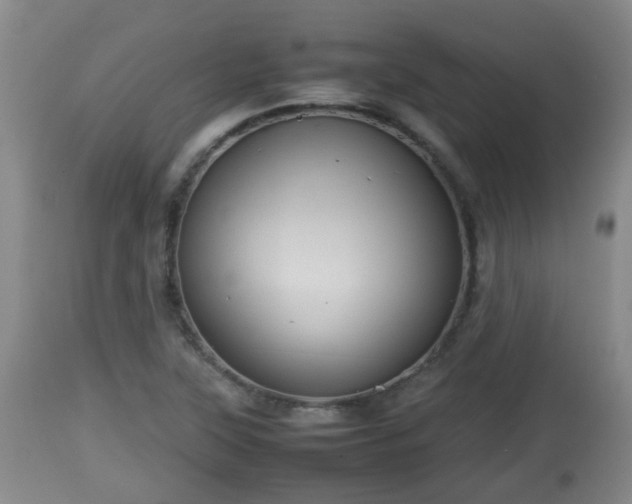 X0000112811315200908281458
