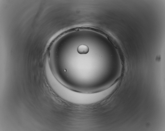 X0000112811316200908281458