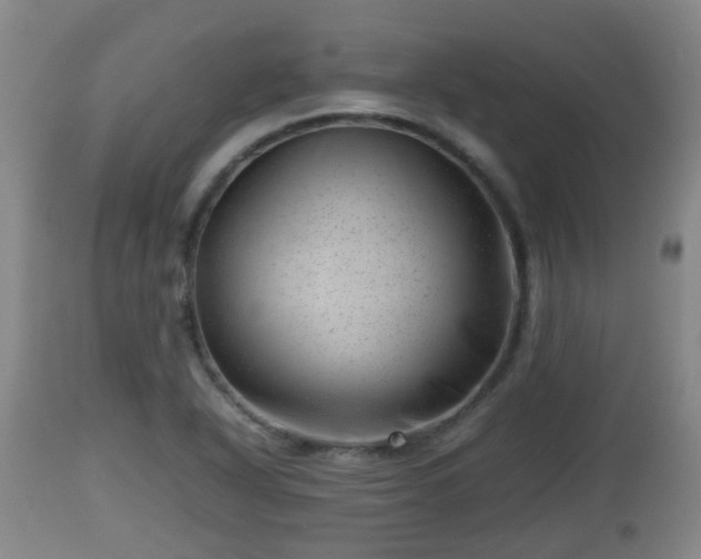 X0000112811318200908281458