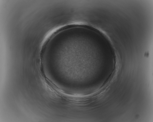 X0000112811319200908281458