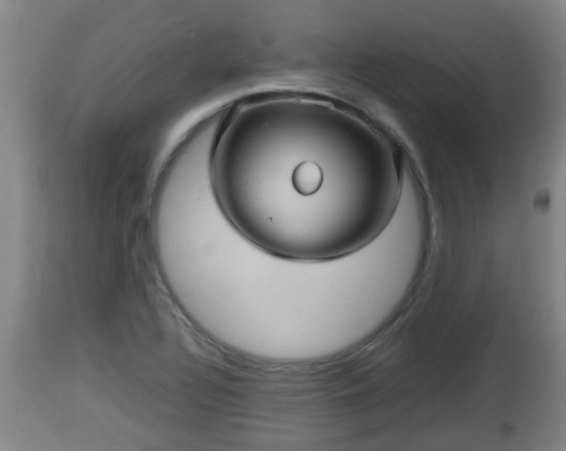 X0000112811320200908281458