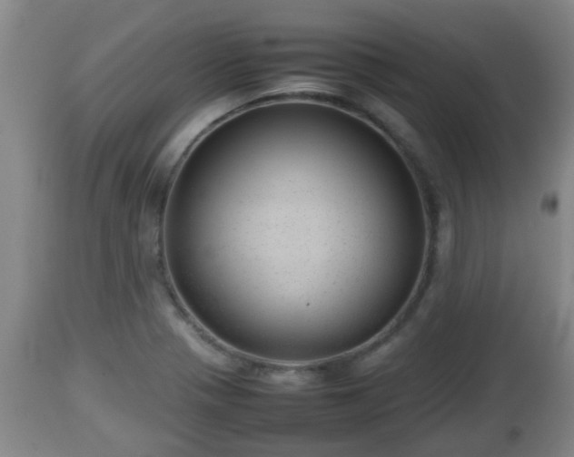 X0000112811321200908281458