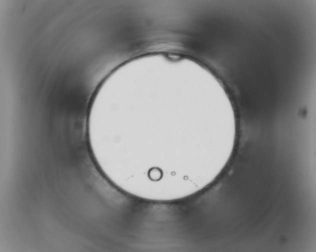 X0000112811322200908281458