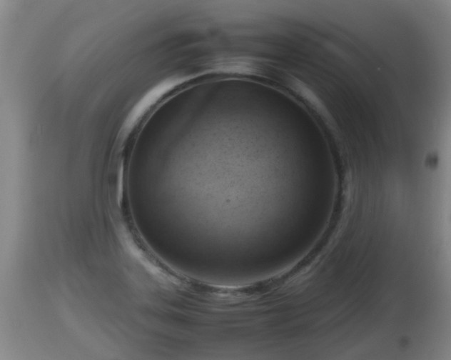 X0000112811323200908281458