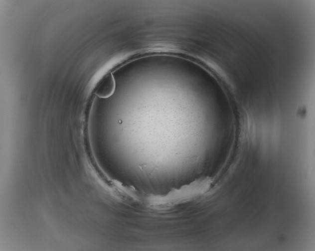X0000112811325200908281458