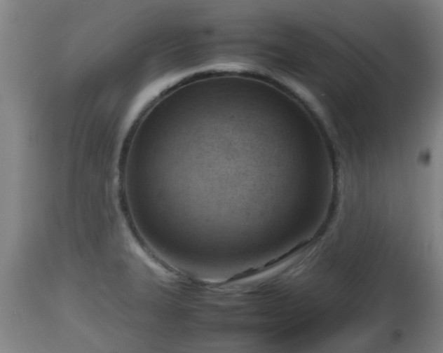 X0000112811327200908281458
